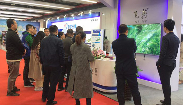 飛燕展廳航空攝影風采.jpg 飛燕展廳航空攝影風采.jpg