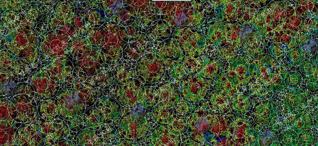 飛燕遙感激光雷達案例單木分割后情況.jpg 飛燕遙感激光雷達案例單木分割后情況.jpg