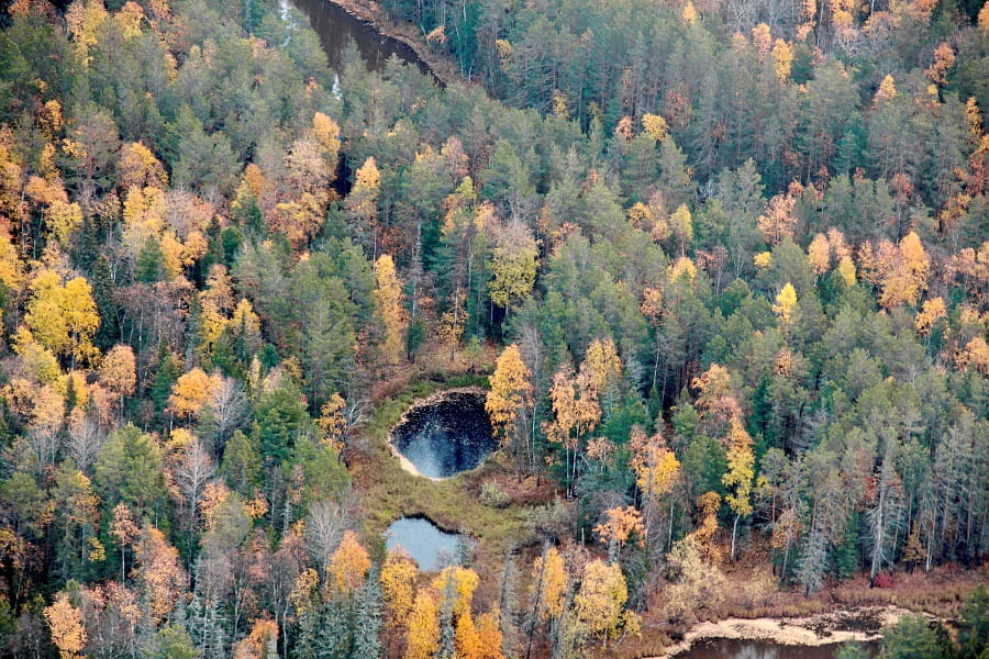 航攝松材線蟲 航攝松材線蟲