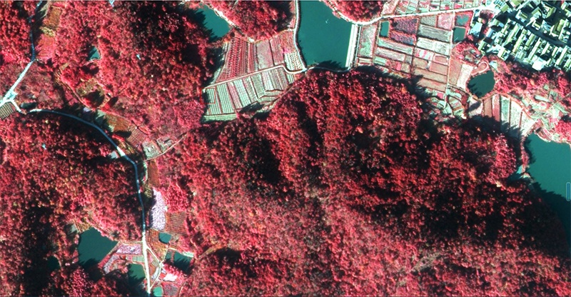 近紅外航攝影像 近紅外航攝影像