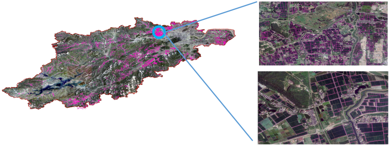 中國東部某地區水稻提取 中國東部某地區水稻提取